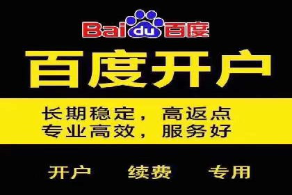 百度竞价数据分析：实战案例与优化策略