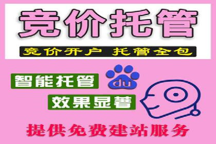 百度搜索广告案例：如何通过精准投放提高转化率